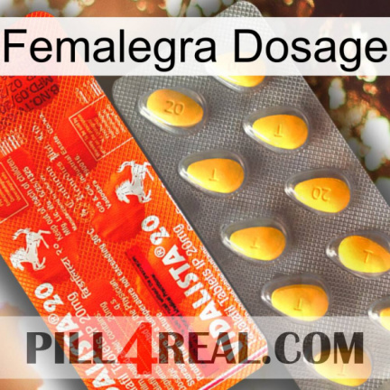 Femalegra Dosage new01
